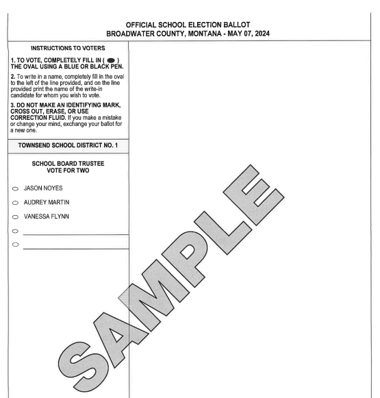 sample school election ballot